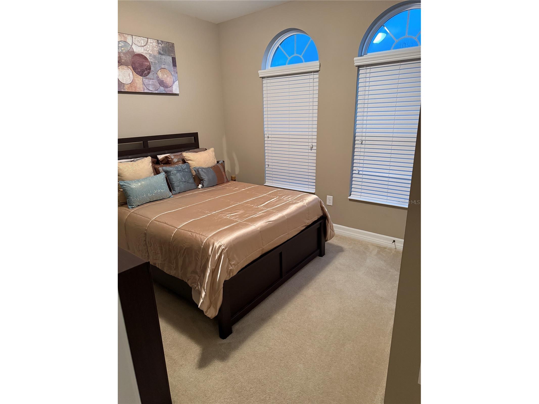 4432 Vermillion Sky Drive Wesley Chapel FL 33544 TB8493301 image7