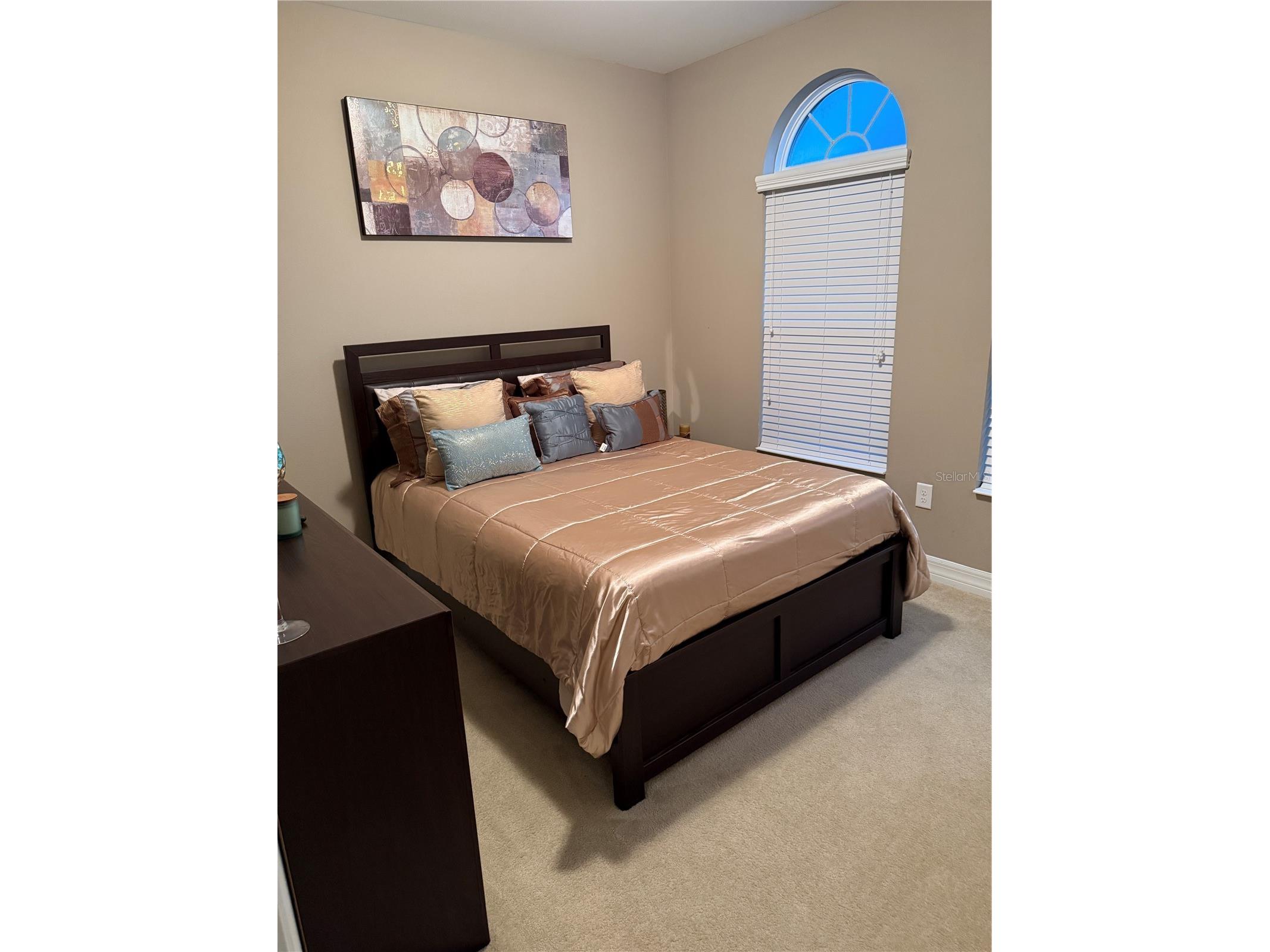 4432 Vermillion Sky Drive Wesley Chapel FL 33544 TB8493301 image8