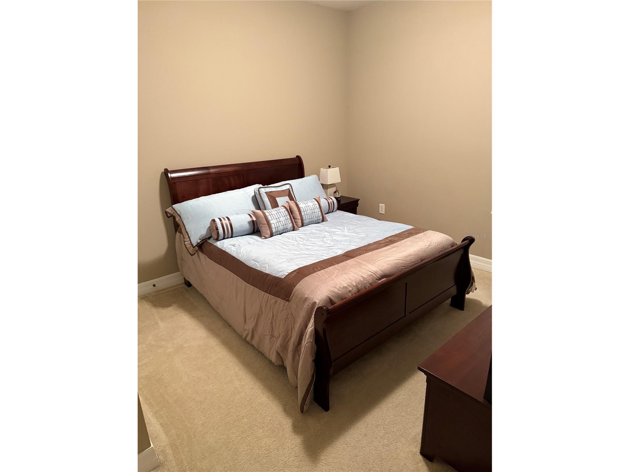 4432 Vermillion Sky Drive Wesley Chapel FL 33544 TB8493301 image9