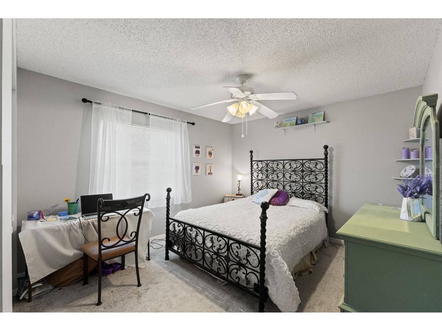 4434 Northampton Drive New Port Richey FL 34653 W7882900 image32