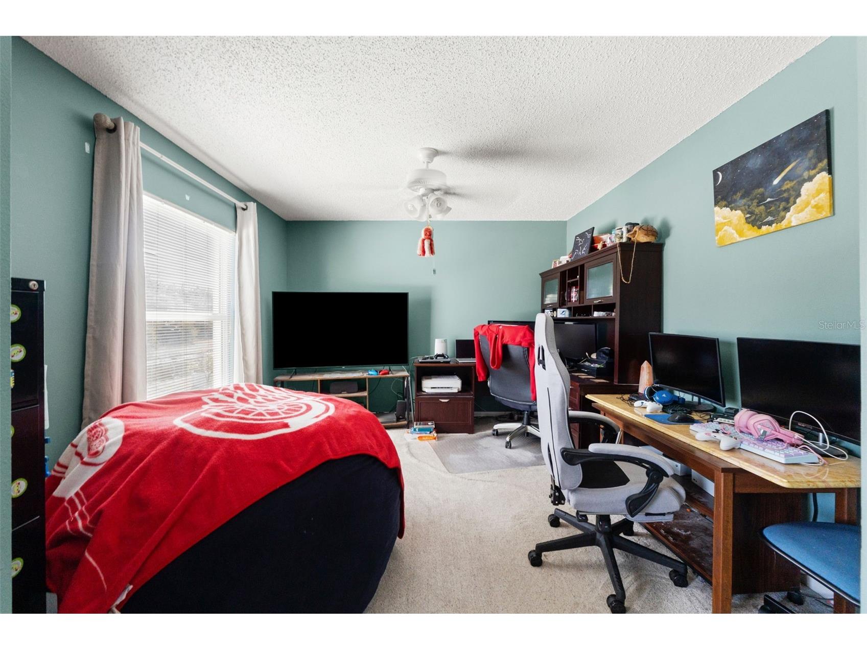 4434 Northampton Drive New Port Richey FL 34653 W7882900 image44