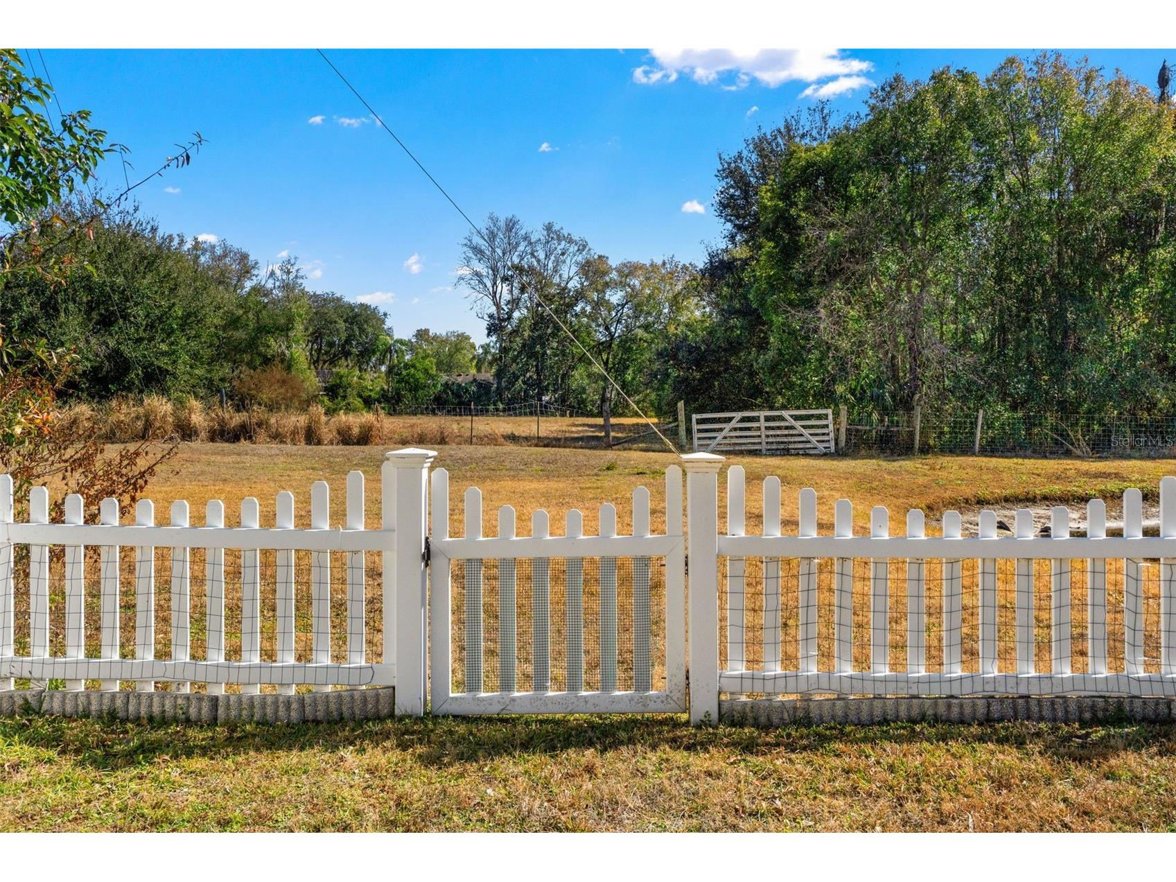 4434 Northampton Drive New Port Richey FL 34653 W7882900 image53