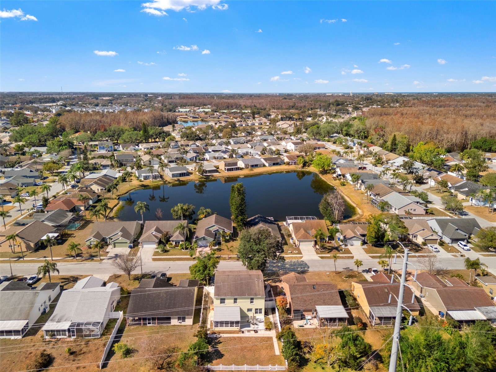 4434 Northampton Drive New Port Richey FL 34653 W7882900 image57