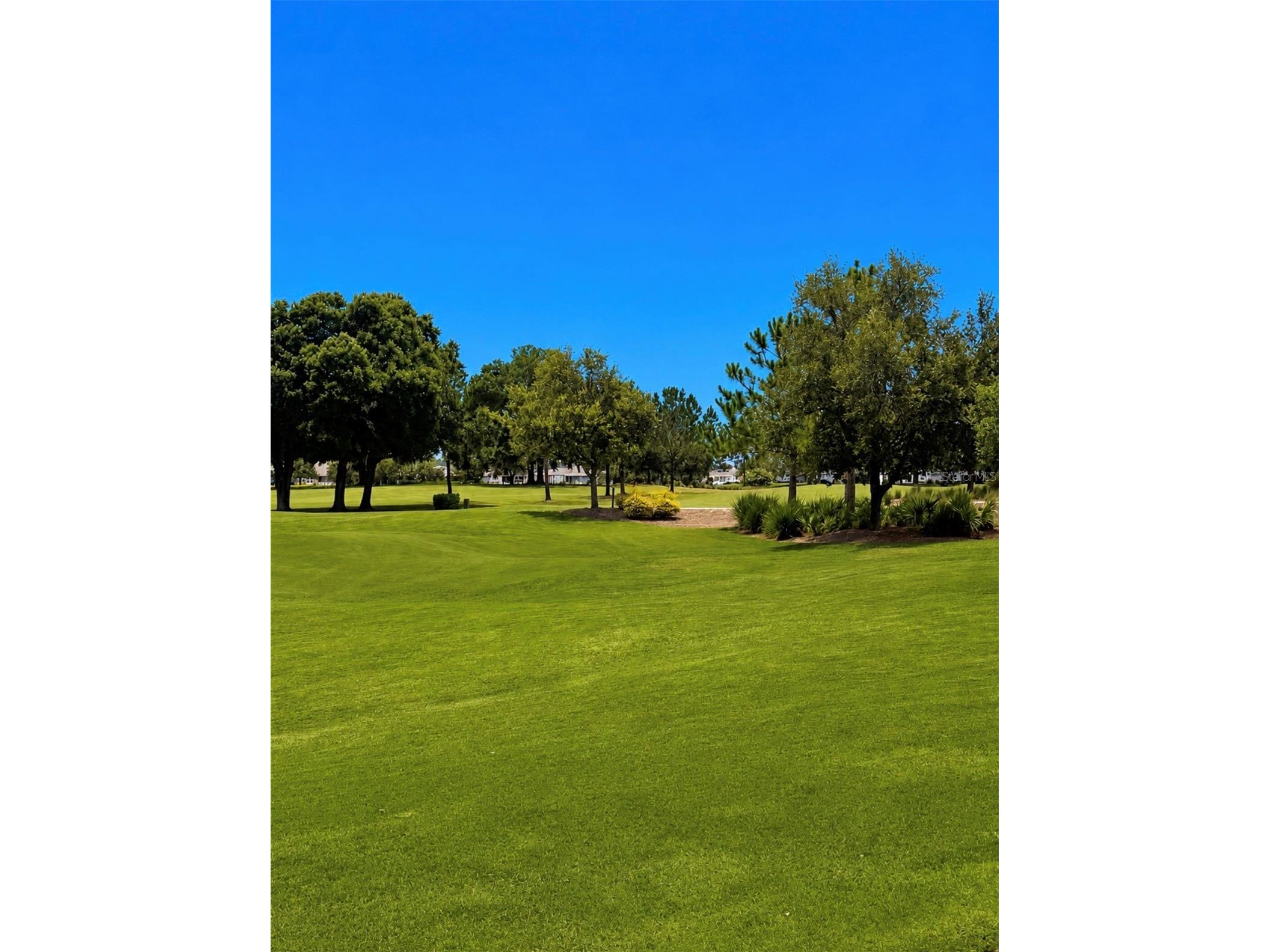 4434 Nw 54th Terrace Ocala FL 34482 OM727537 image40