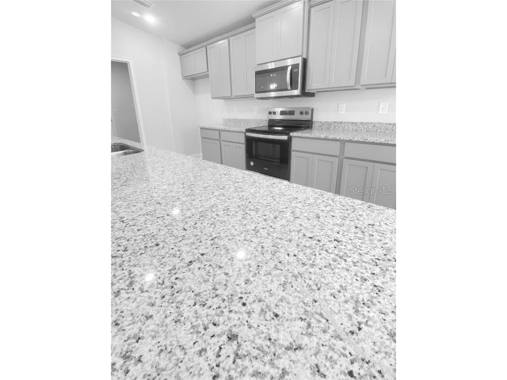 4434 Sagefield Drive Harmony FL 34773 O6348623 image5