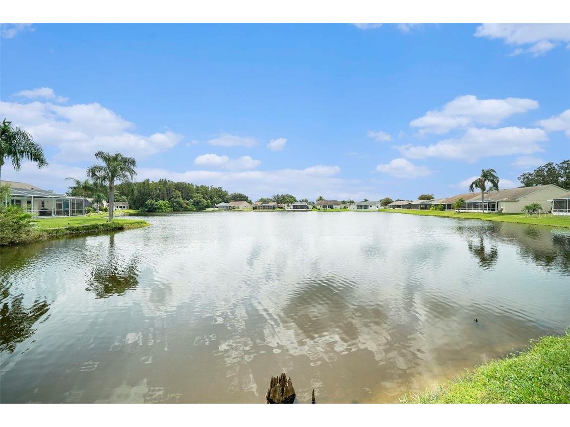 4434 Whitton Way New Port Richey FL 34653 TB8429539 image30