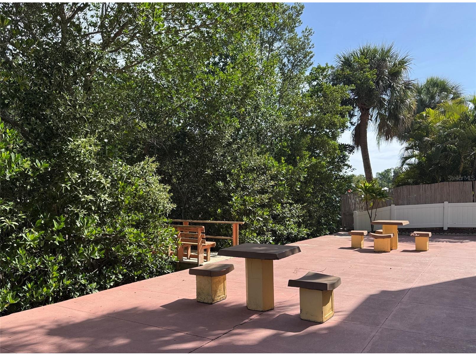 4435 1st Street NE #103 Saint Petersburg FL 33703 TB8492162 image22