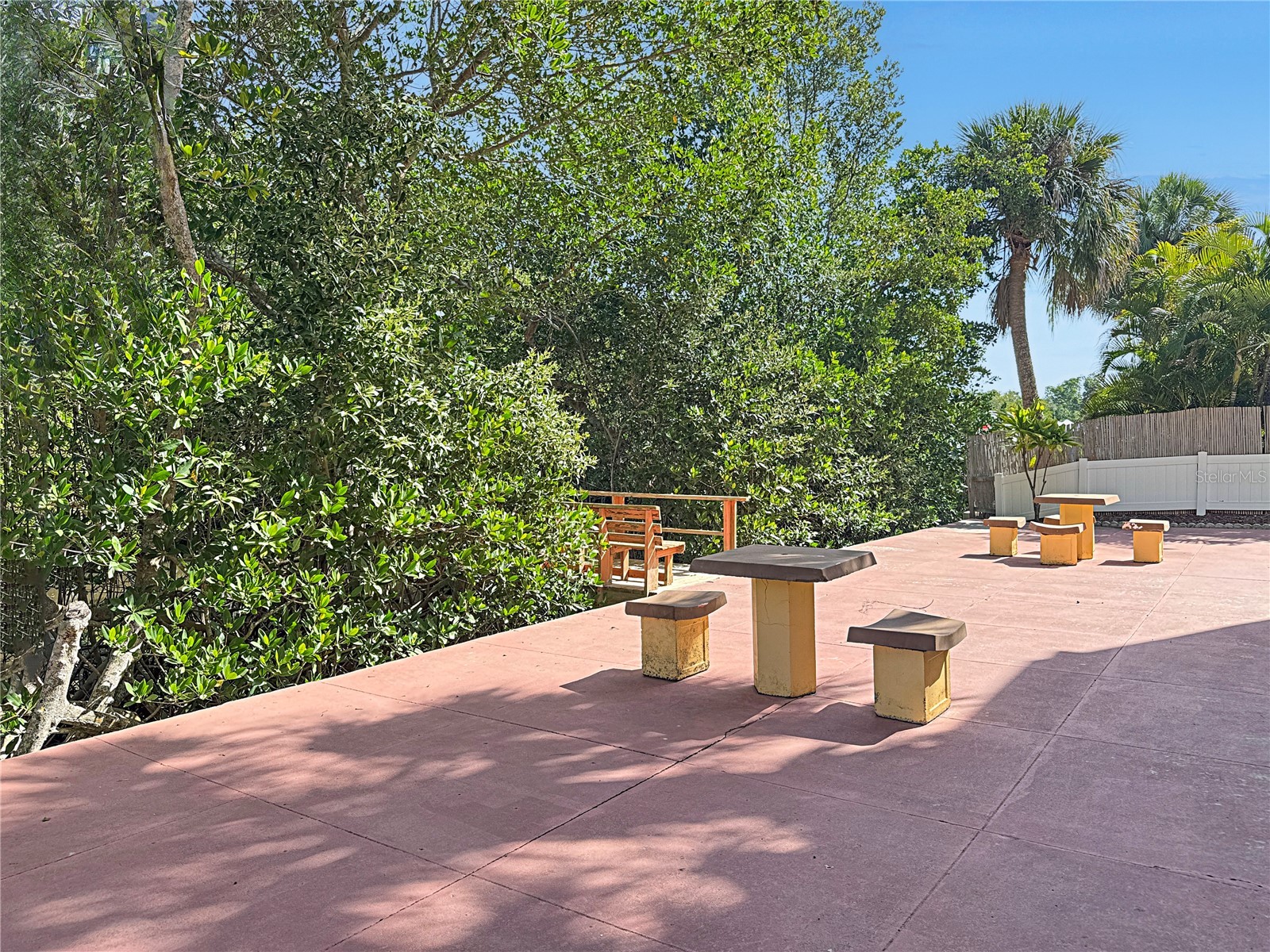 4435 1st Street NE #103 Saint Petersburg FL 33703 TB8492162 image24