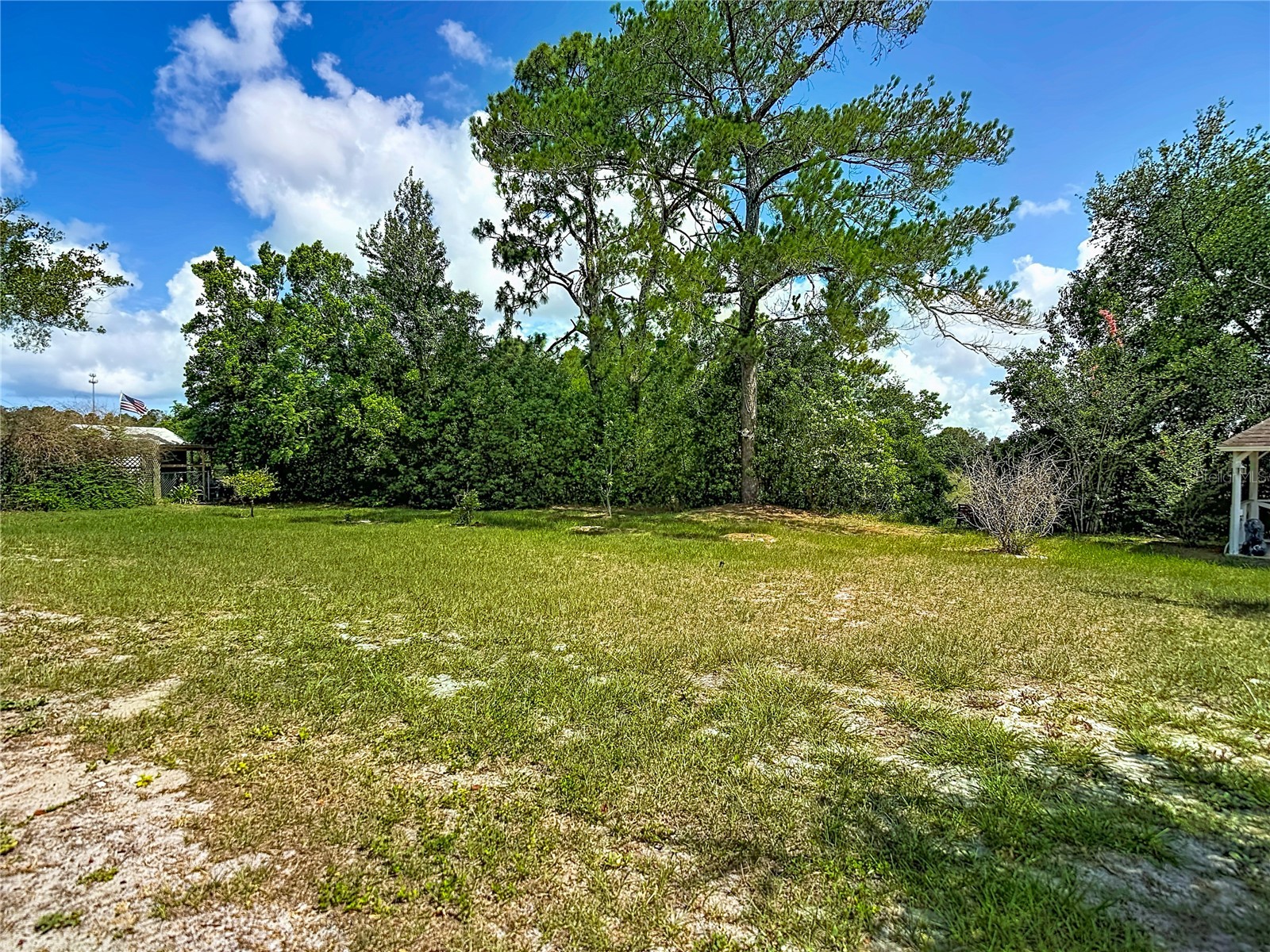 4435 Bayridge Court Spring Hill FL 34606 TB8520647 image55
