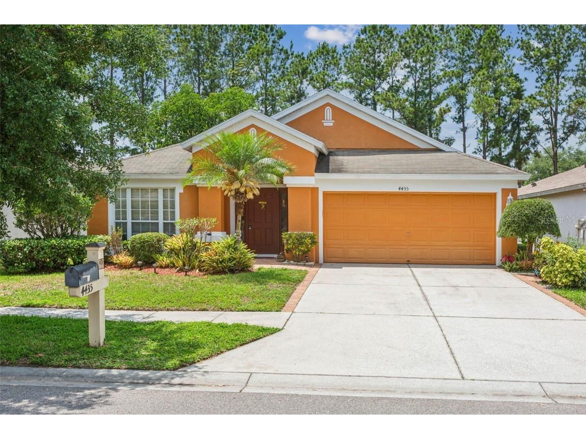 4435 Beaumaris Drive Land O Lakes FL 34638 T3526634 image1