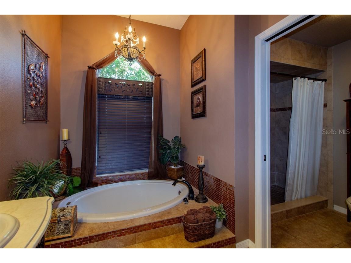 4435 Fairway Oaks Dr Mulberry FL 33860 L4956050 image23