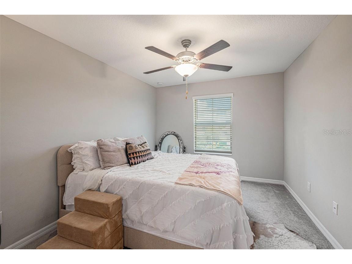 4435 Globe Thistle Drive Tampa FL 33619 O6353417 image19