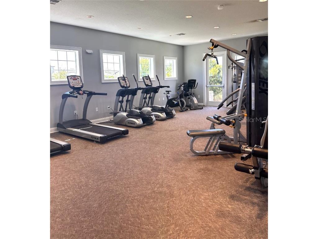 4435 Globe Thistle Drive Tampa FL 33619 O6353417 image29