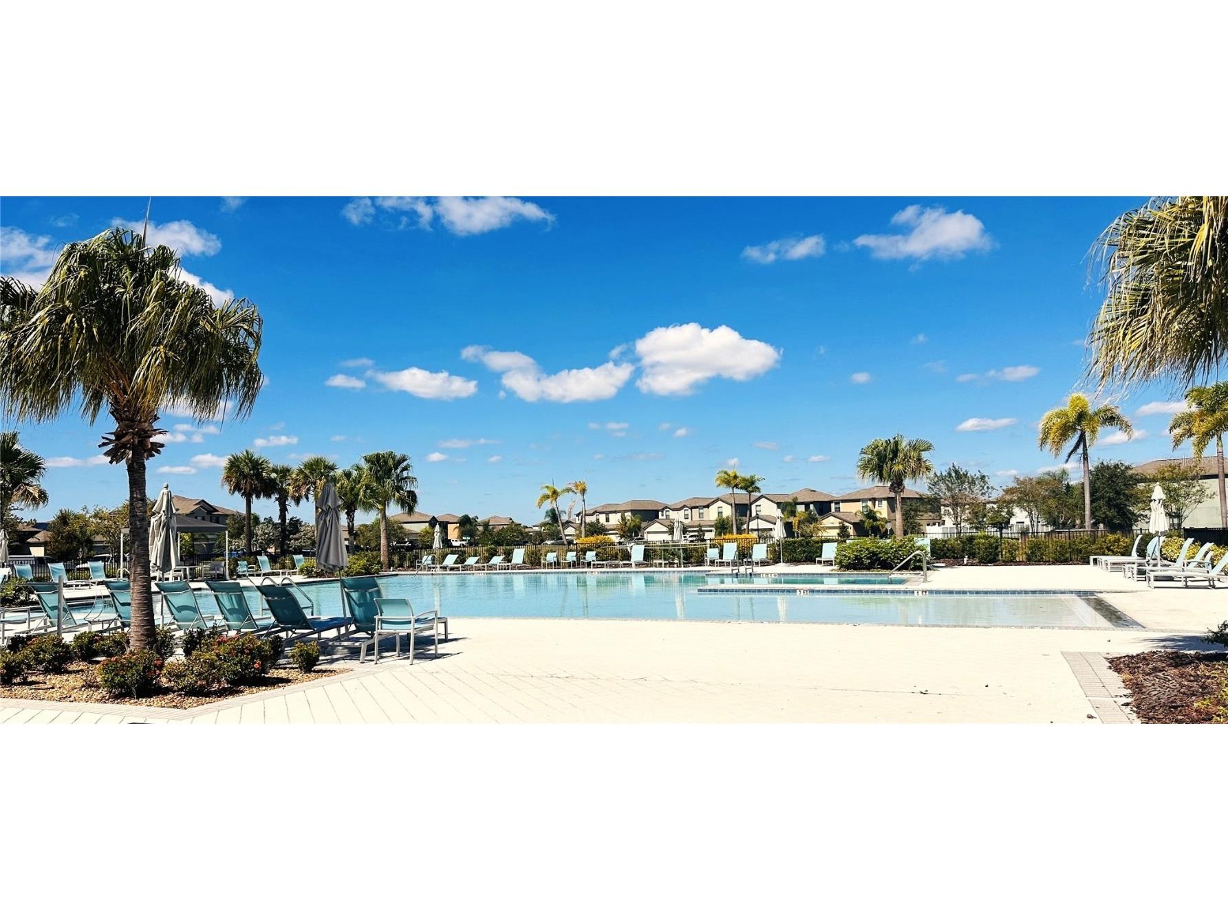 4435 Globe Thistle Drive Tampa FL 33619 O6353417 image30