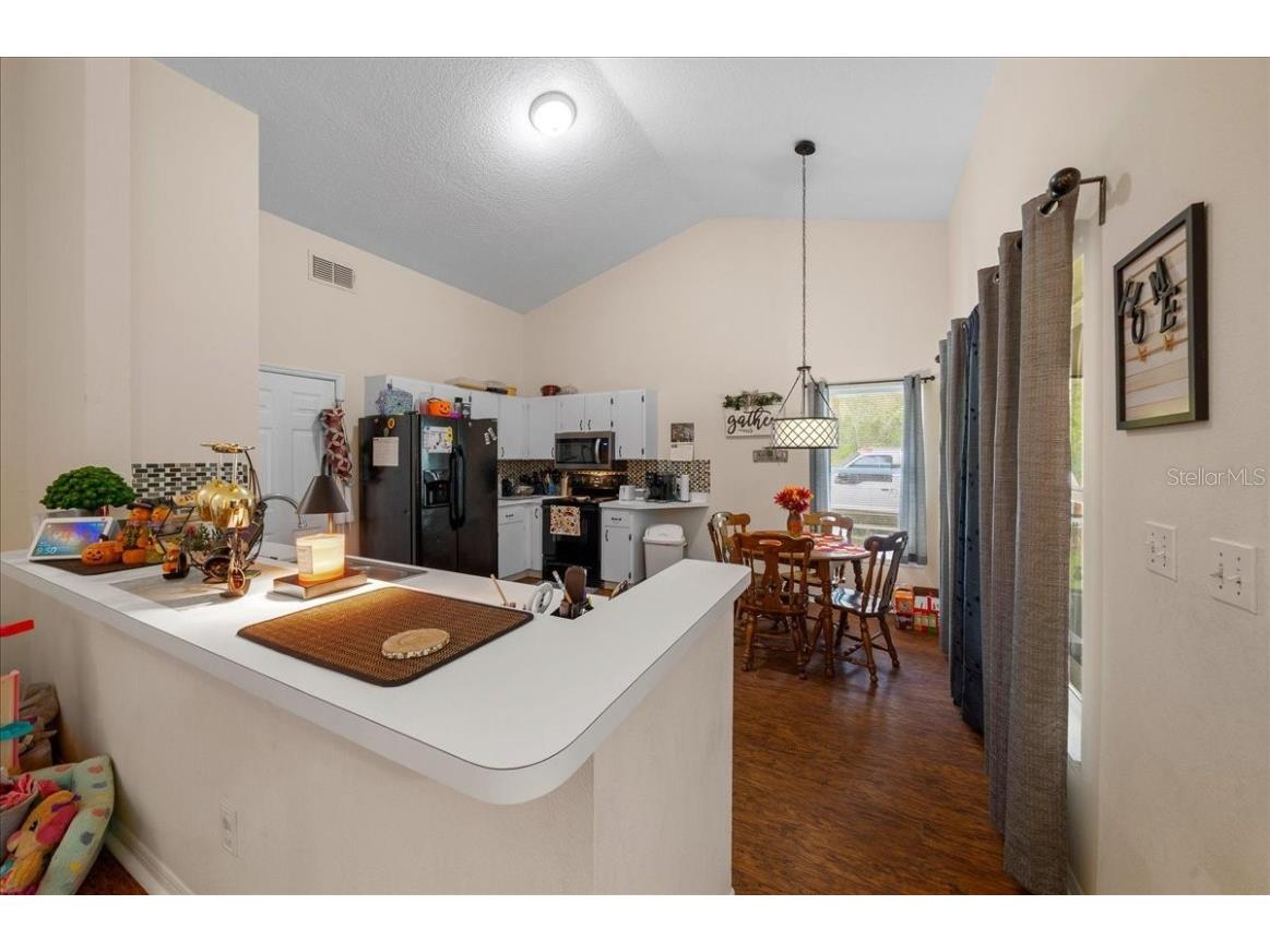 4435 Lemon Street Lady Lake FL 32159 O6349931 image11