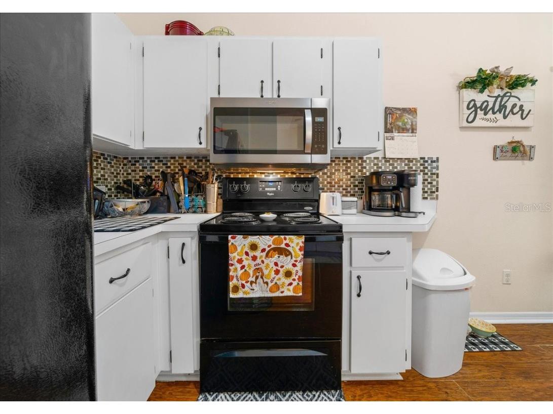 4435 Lemon Street Lady Lake FL 32159 O6349931 image16