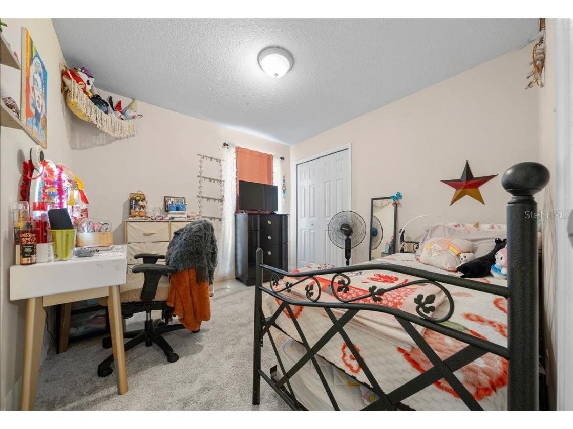 4435 Lemon Street Lady Lake FL 32159 O6349931 image24