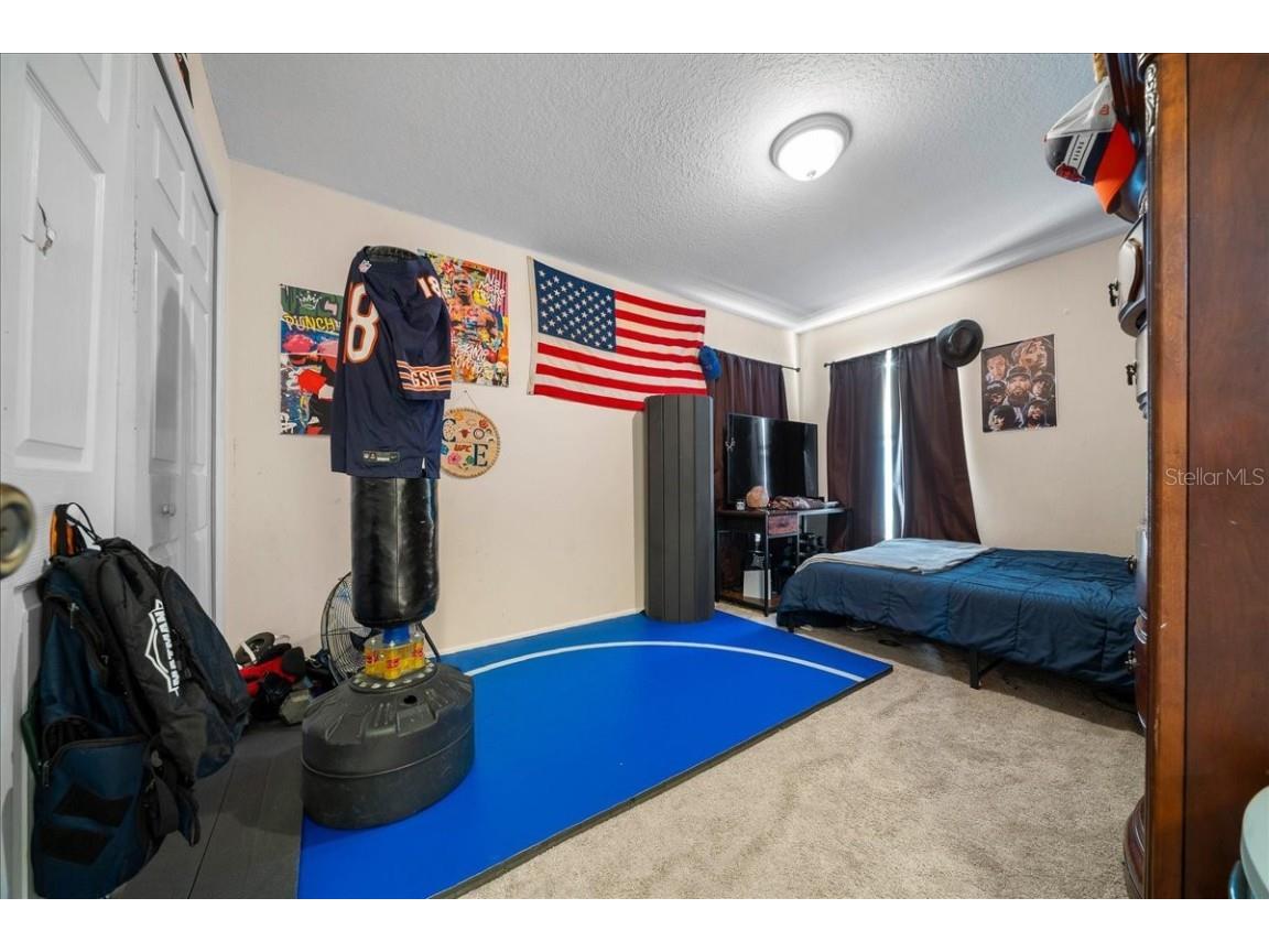 4435 Lemon Street Lady Lake FL 32159 O6349931 image27