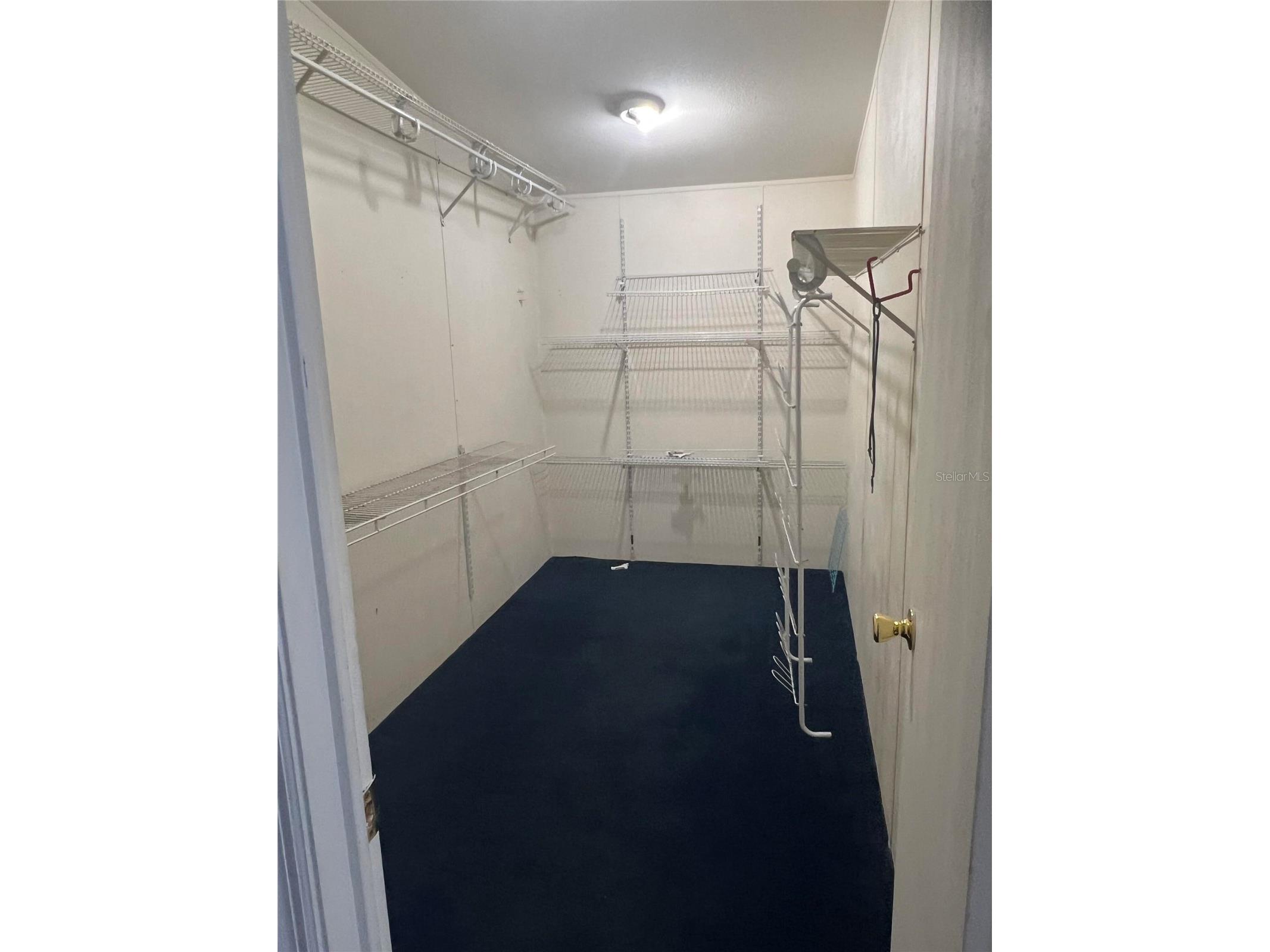 4435 Tevalo Drive Valrico FL 33596 O6383789 image8