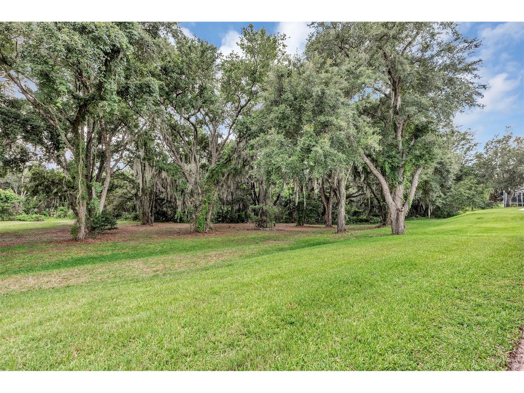 4436 Antietam Creek Trail Leesburg FL 34748 G5114380 image3