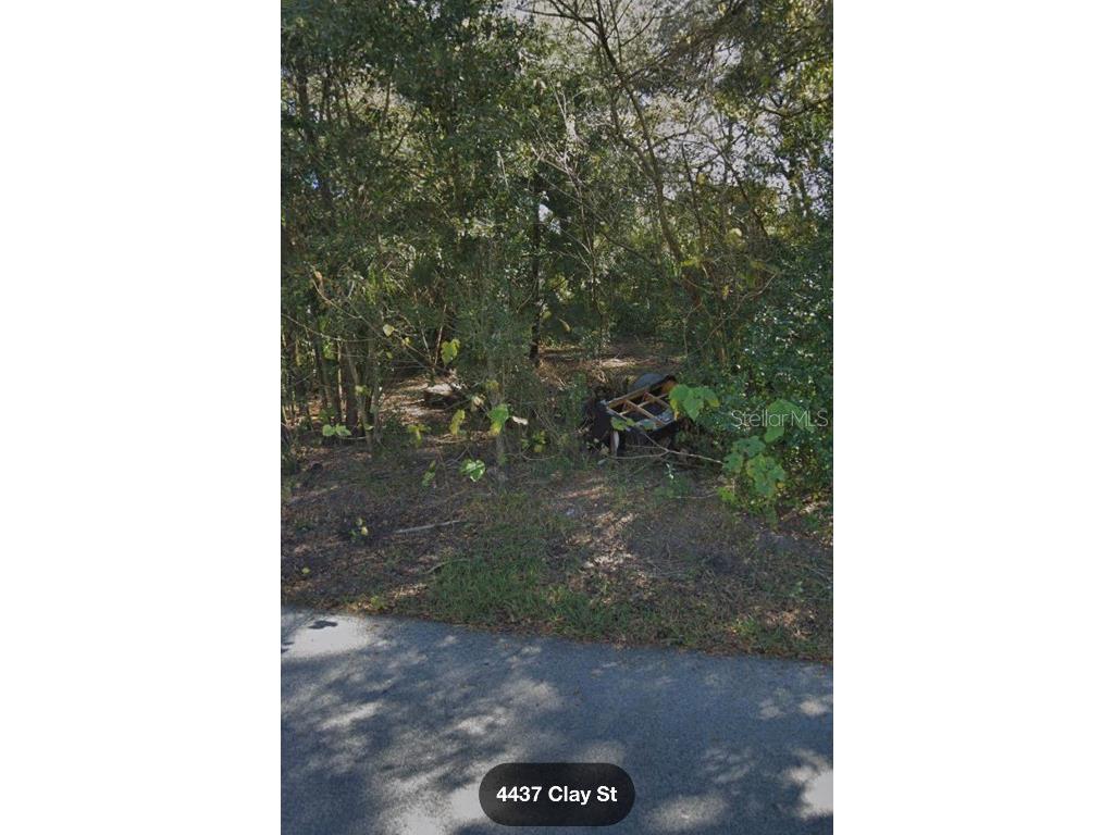 4436 Clay Street Zephyrhills FL 33542 O5977408 image1