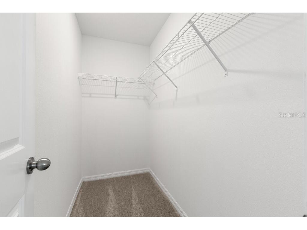 4436 Globe Thistle Drive Tampa FL 33619 TB8500037 image13