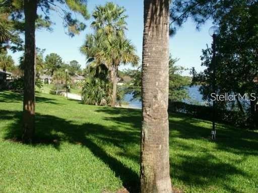 4436 Ring Neck Road #C Orlando FL 32808 O6344150 image25