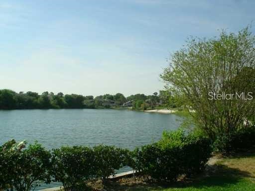 4436 Ring Neck Road #C Orlando FL 32808 O6344150 image26