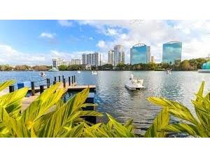 4436 Ring Neck Road #C Orlando FL 32808 O6344150 image29