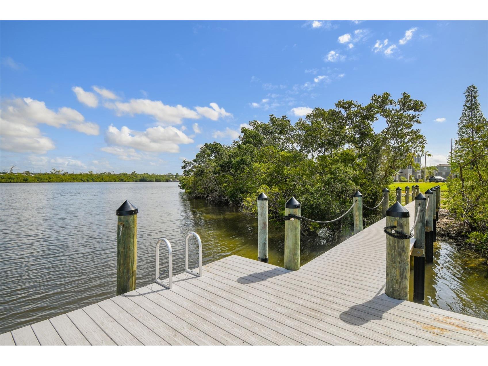 4436 Tuscan Loon Drive Tampa FL 33619 TB8507583 image52