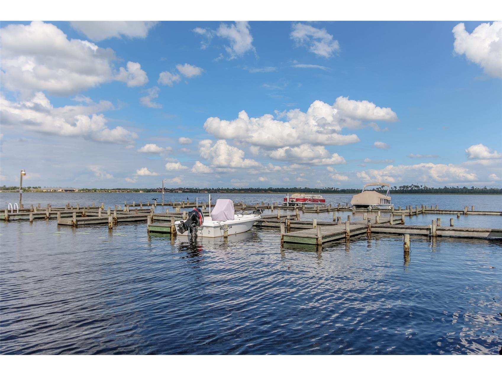 4436 Waterford Drive Lake Wales FL 33859 - LAKE ASHTON P4938596 image47