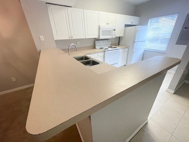 4437 Har Paul Circle Tampa FL 33614 TB8425786 image11