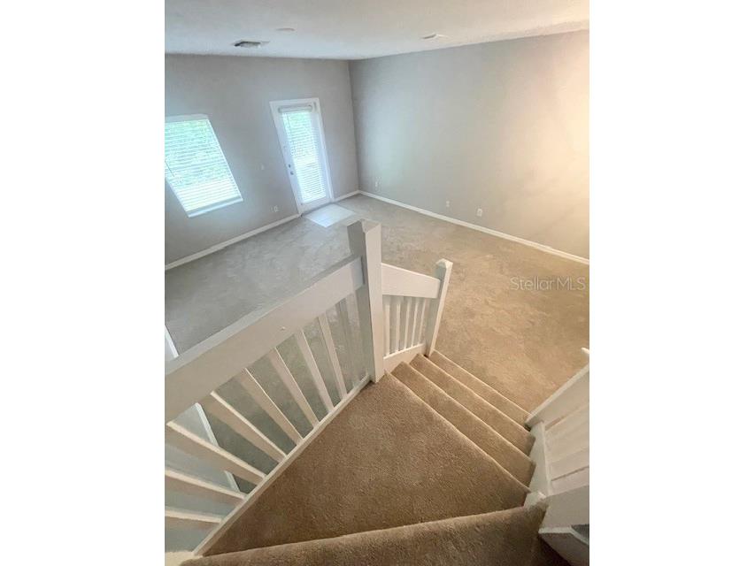 4437 Har Paul Circle Tampa FL 33614 TB8425786 image20