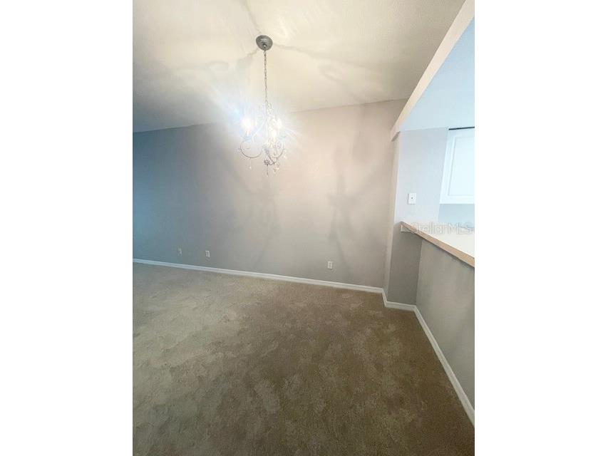 4437 Har Paul Circle Tampa FL 33614 TB8425786 image9