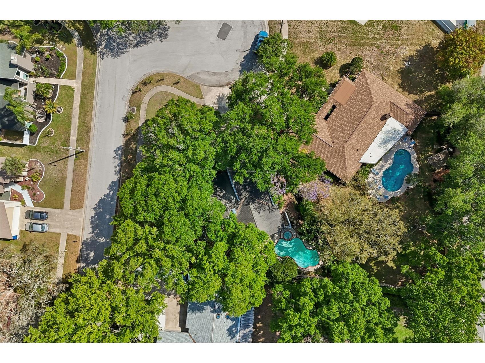4438 Summer Oak Drive Tampa FL 33618 TB8480617 image28
