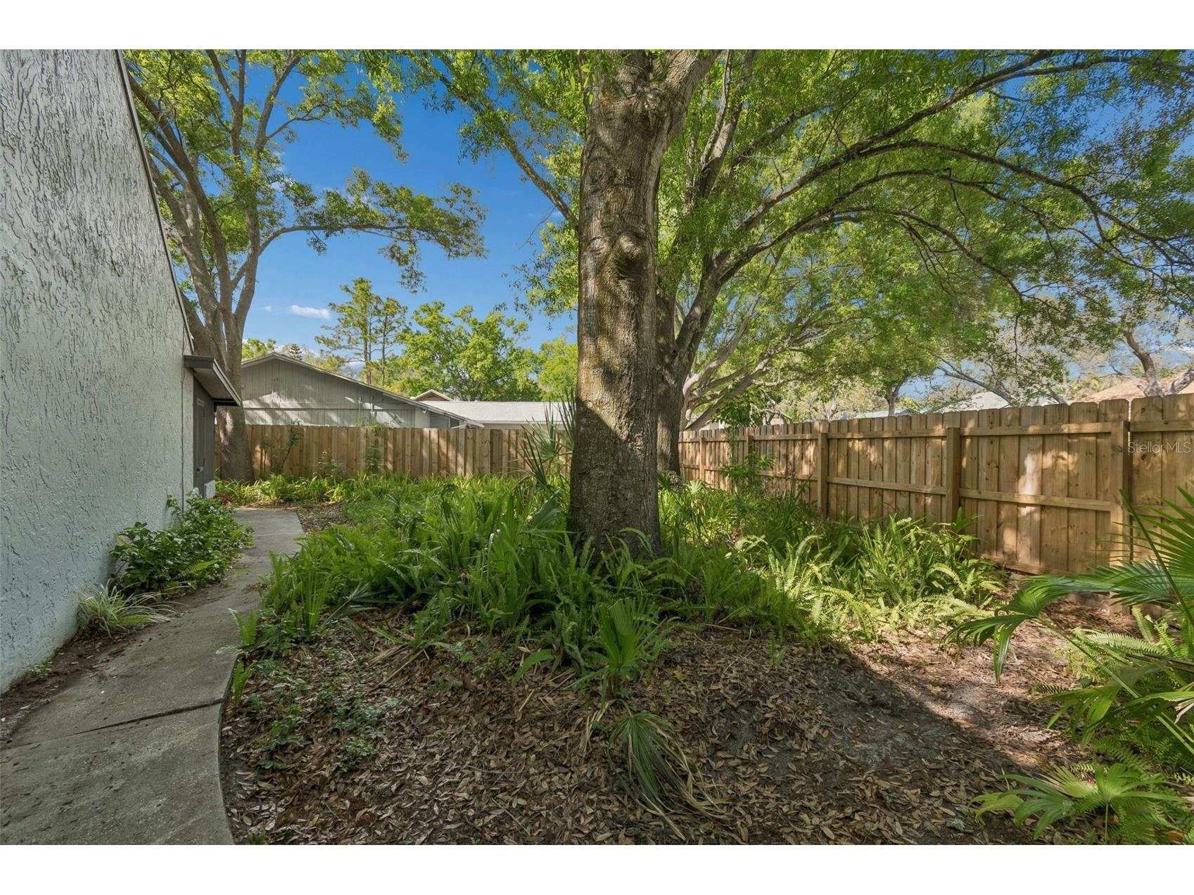4438 Summer Oak Drive Tampa FL 33618 TB8480617 image32