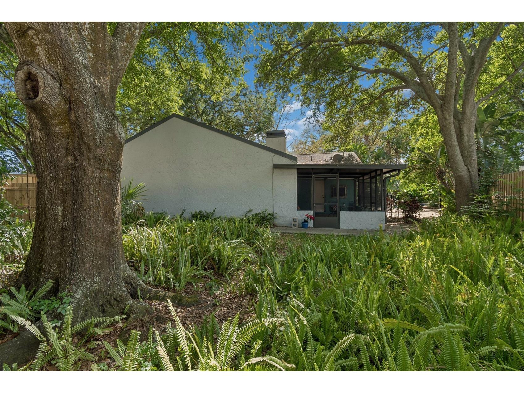 4438 Summer Oak Drive Tampa FL 33618 TB8480617 image33