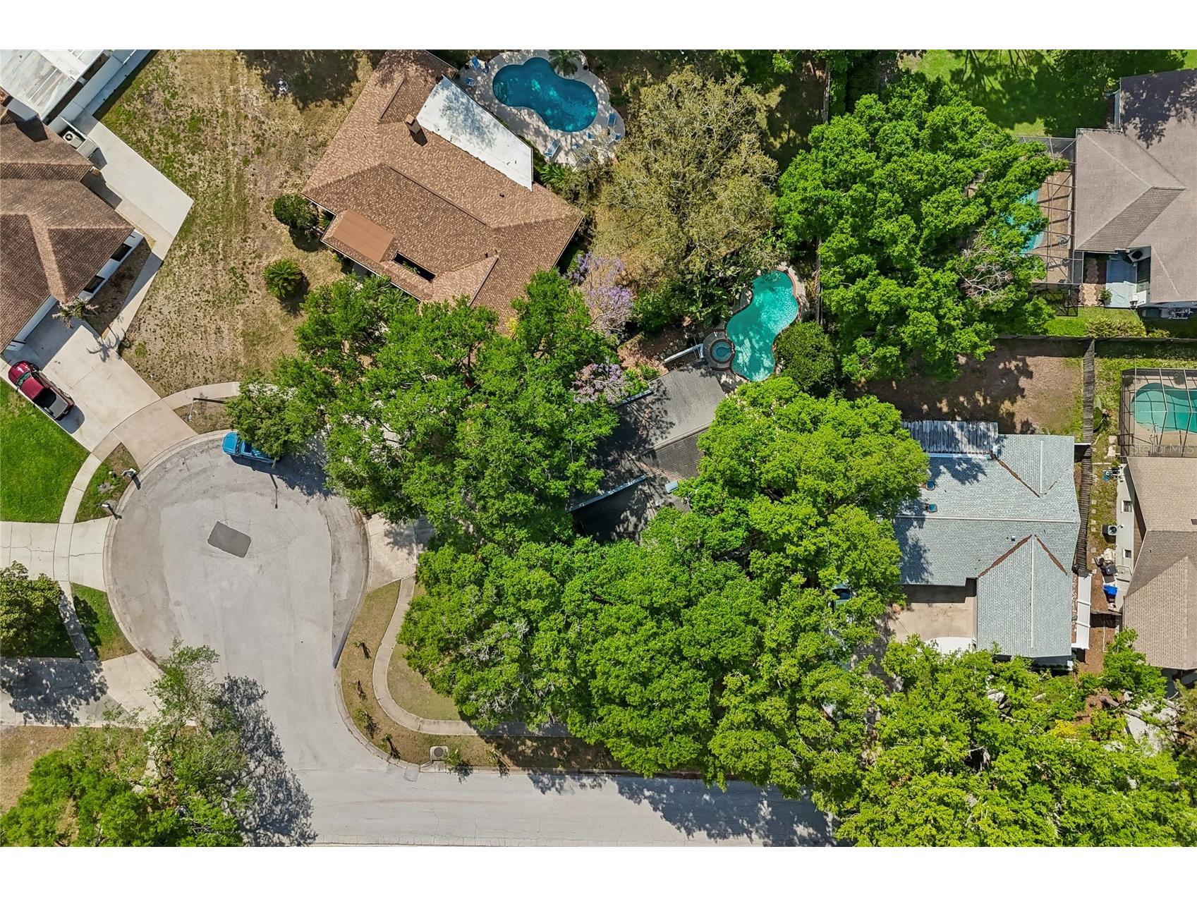 4438 Summer Oak Drive Tampa FL 33618 TB8480617 image40