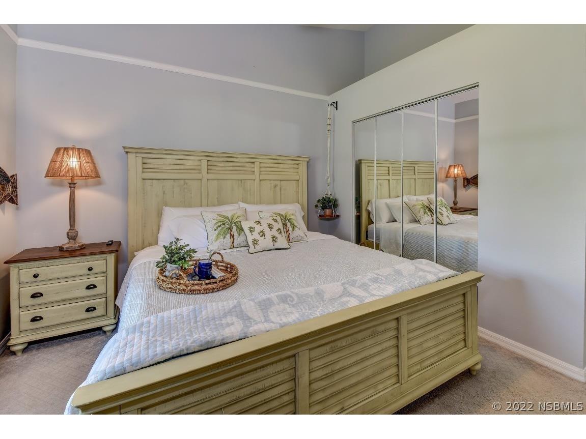 4439 Katy Drive New Smyrna Beach FL 32169 NS1068394 image23