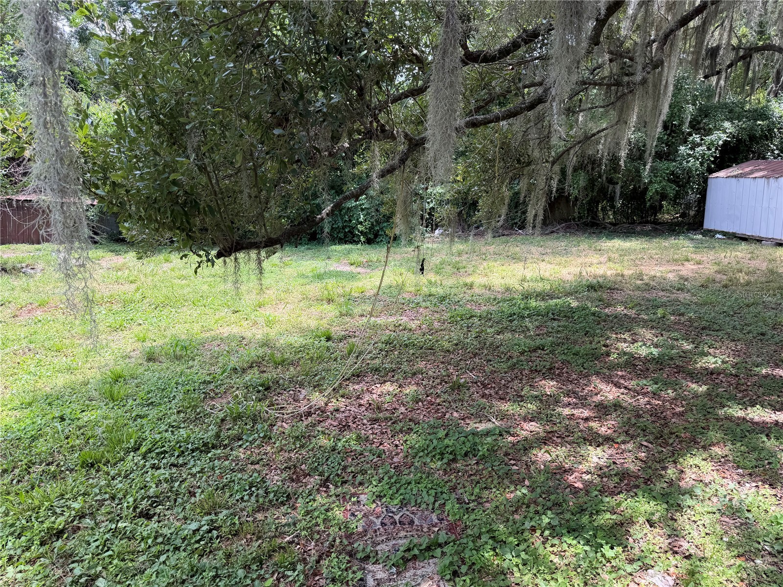 444 Avenue B NE Winter Haven FL 33881 P4939272 image13