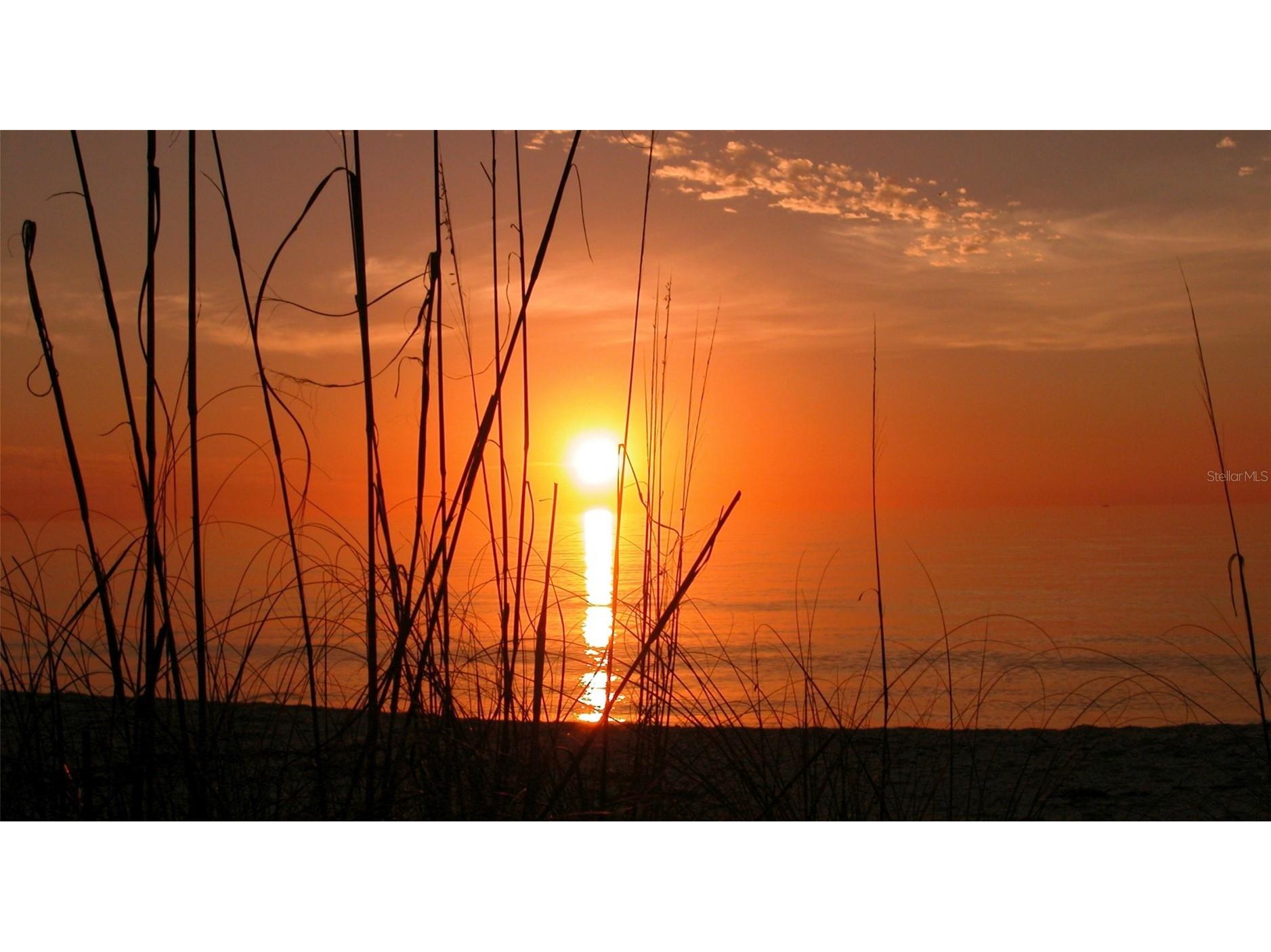 4440 Exeter Drive #301 Longboat Key FL 34228 A4684917 image69