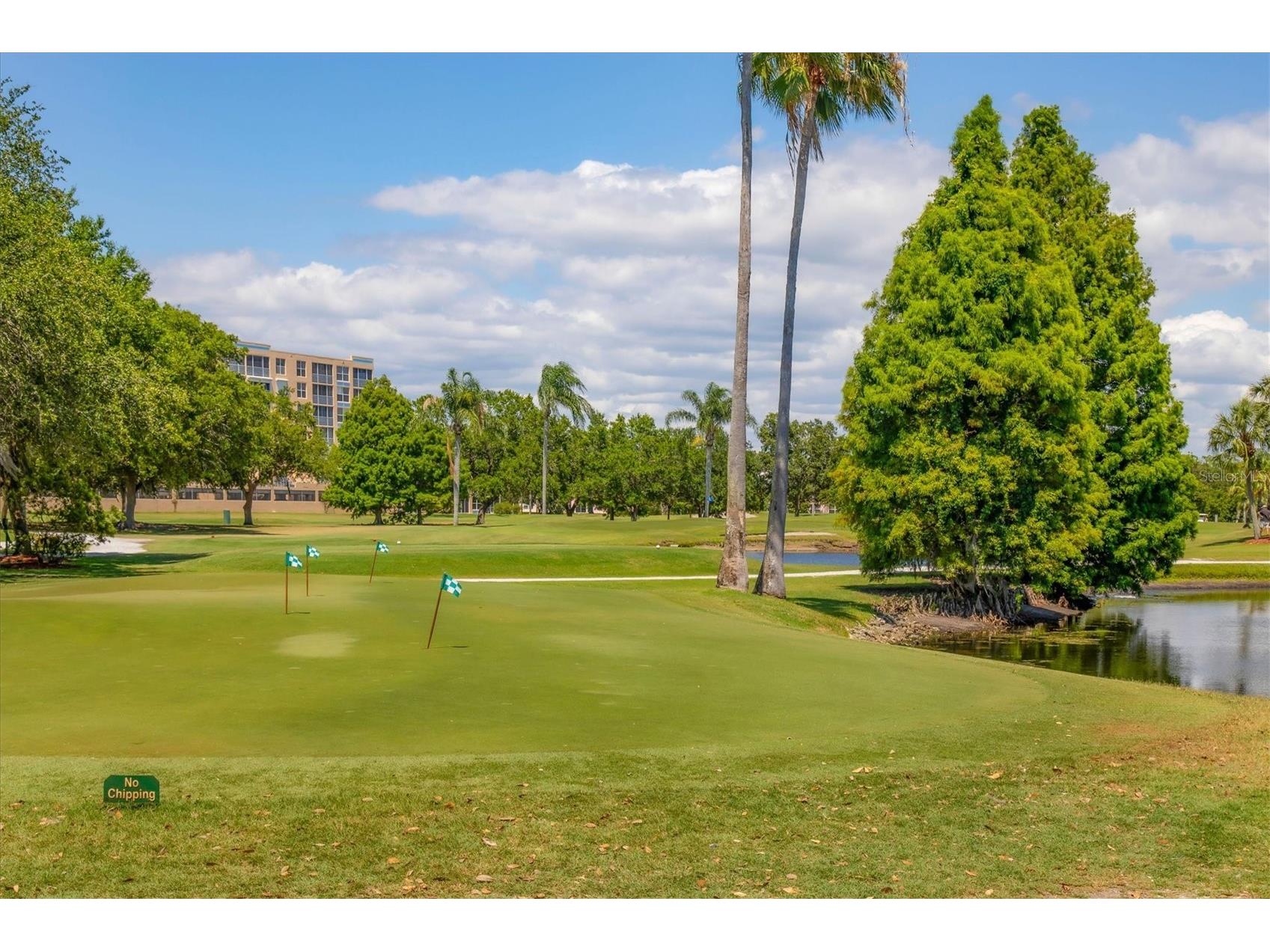 4440 Fairways Boulevard #108 Bradenton FL 34209 A4691376 image61