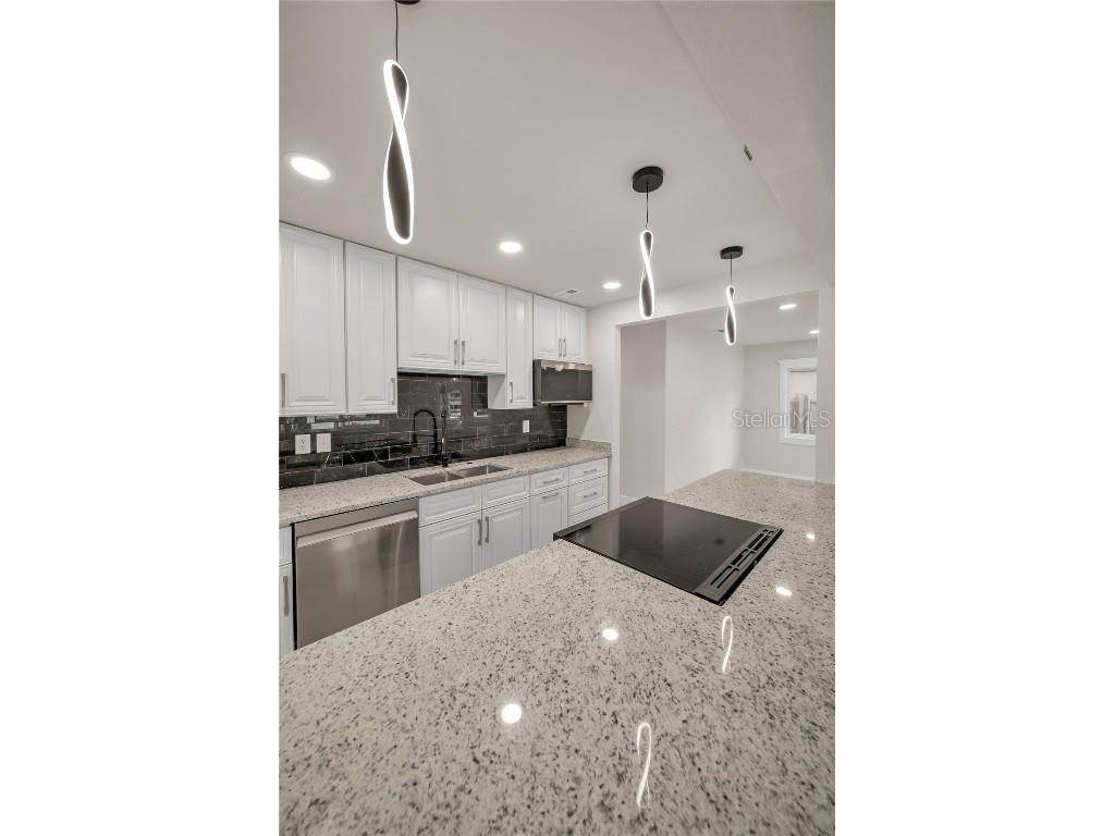 4441 16th Street N Saint Petersburg FL 33703 TB8401162 image10