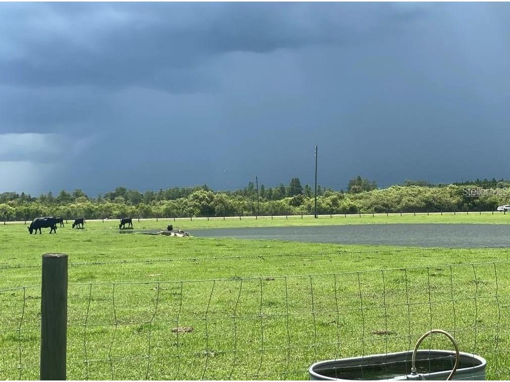 4441 Anderson Road Kissimmee FL 34746 O6330442 image15