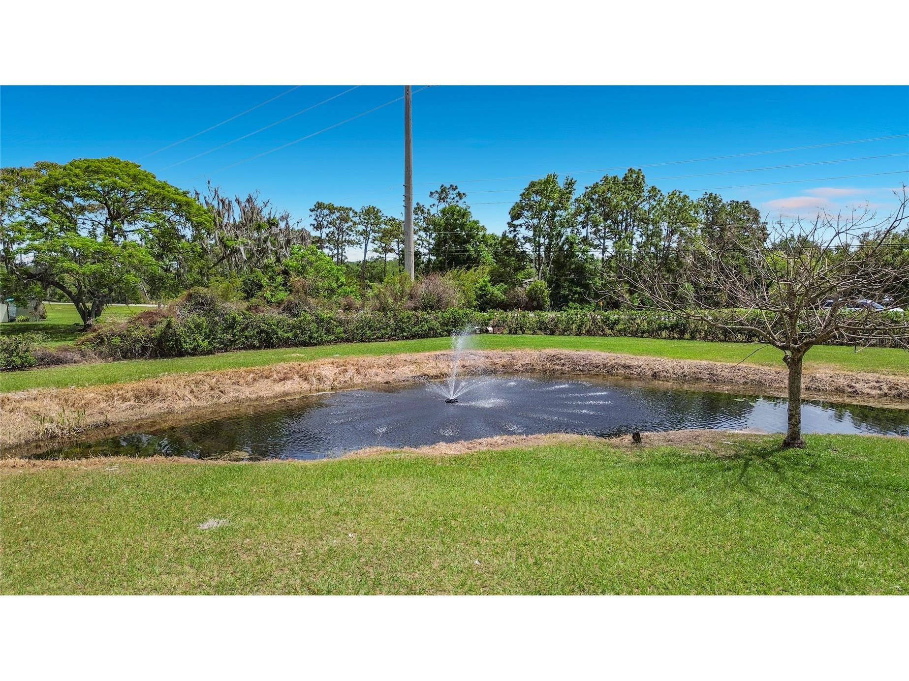 4441 Deer Run Road Saint Cloud FL 34772 O6398334 image49