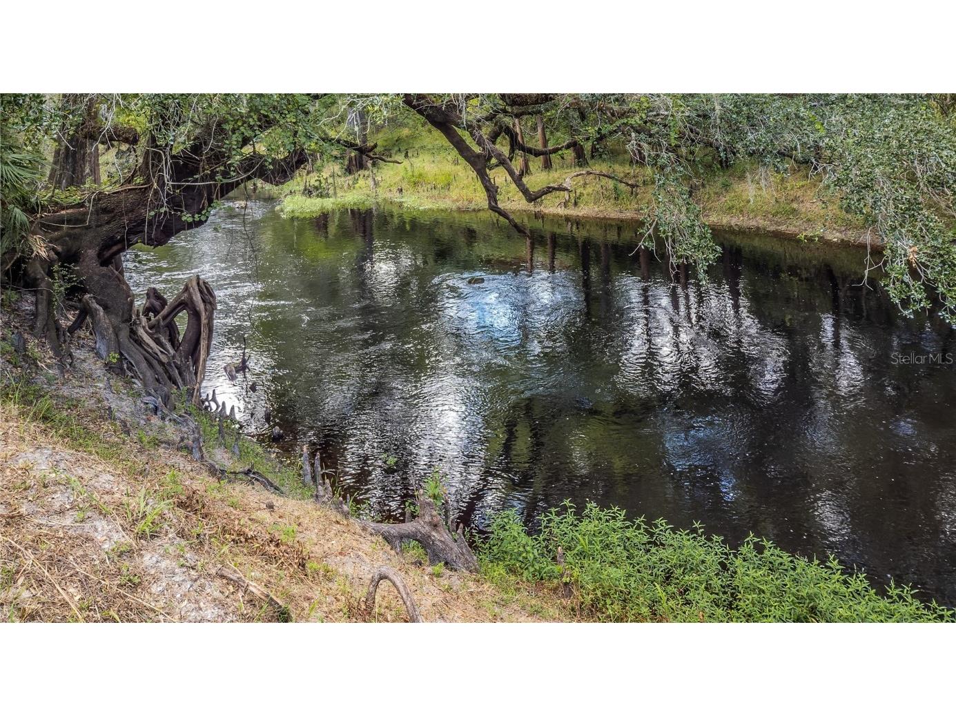 4441 Pocahontas Drive Dade City FL 33523 U8213546 image1