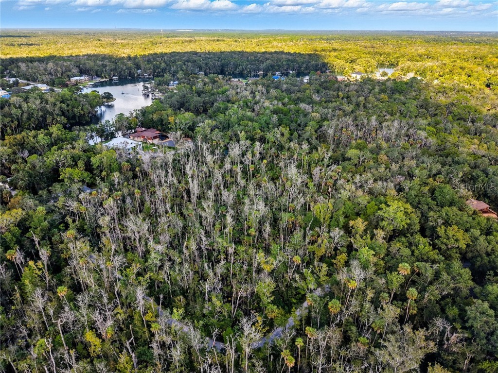 4441 S Lewoods Drive Homosassa FL 34448 TB8430674 image2