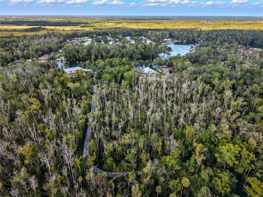 4441 S Lewoods Drive Homosassa FL 34448 TB8430674 image3