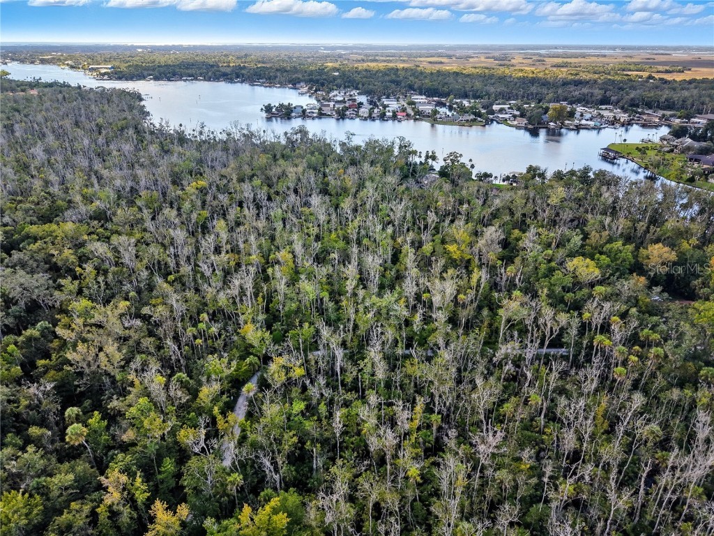 4441 S Lewoods Drive Homosassa FL 34448 TB8430674 image4