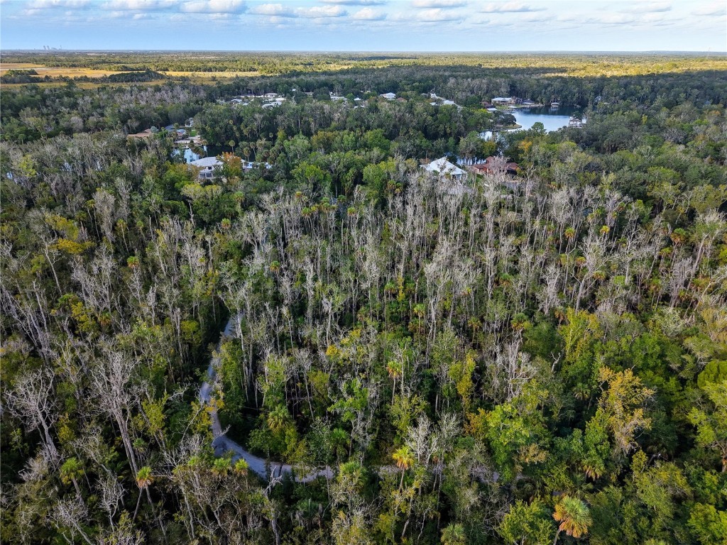 4441 S Lewoods Drive Homosassa FL 34448 TB8430674 image5